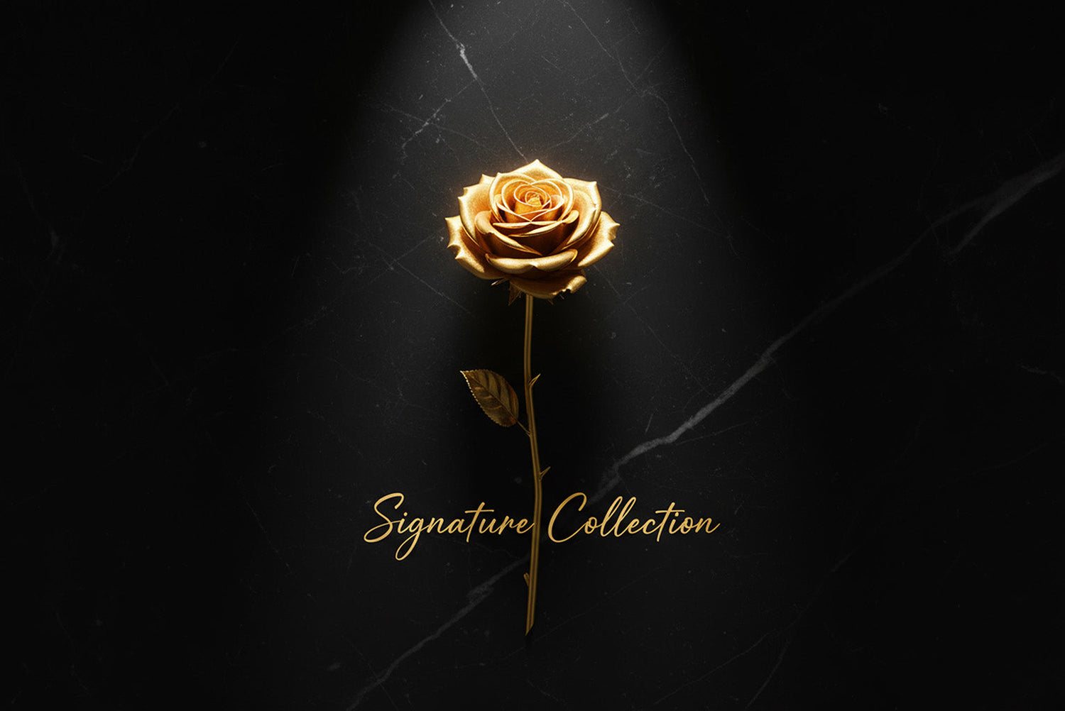 Signature Collection