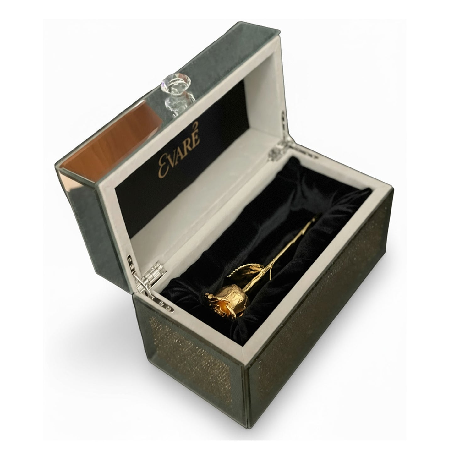 24K Gold Dipped Natural Rose 7" – Luxe Glass Box