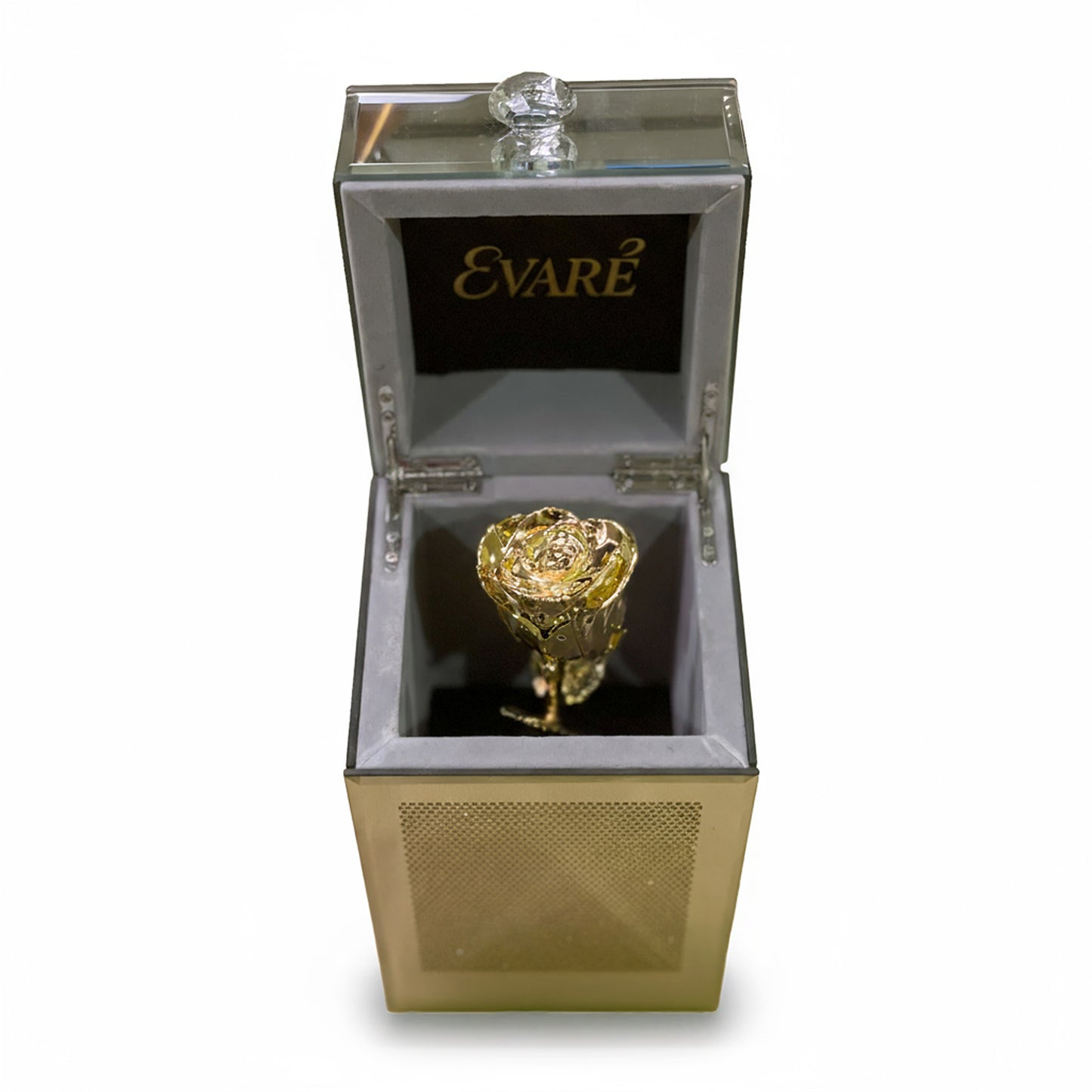 24K Gold Dipped Natural Rose 7" – Luxe Vertical Glass Box