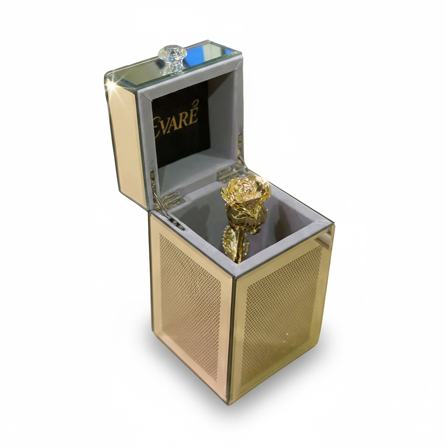 24K Gold Dipped Natural Rose 7" – Luxe Vertical Glass Box