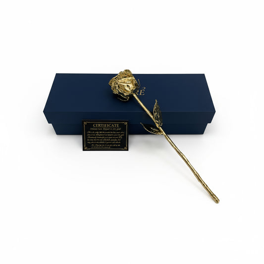 24K Gold Dipped Natural Rose 11.5" – Atelier Presentation Box